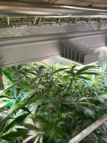 Growreport Bild 13