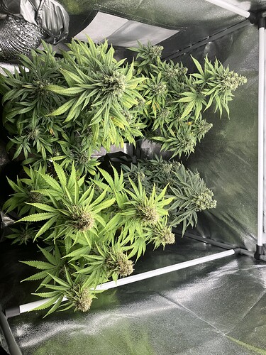 Growreport Bild 3