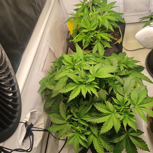 Growreport Bild 12