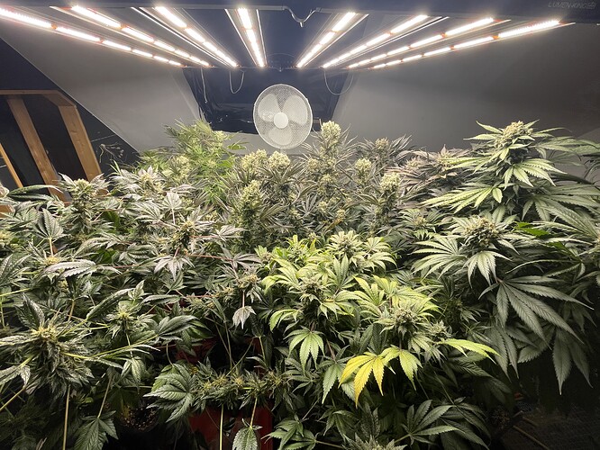 Growreport Bild 1