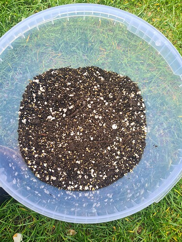 Growreport Bild 4