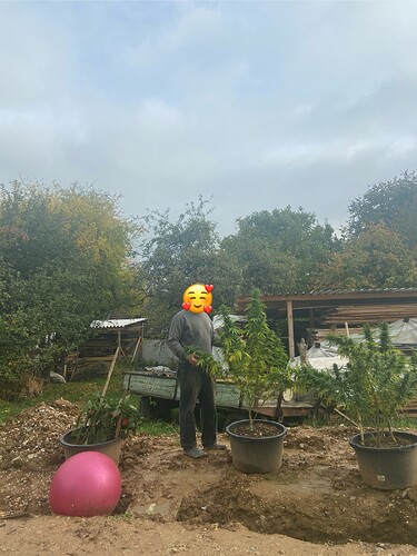 Growreport Bild 2
