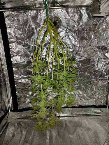 Growreport Bild 2
