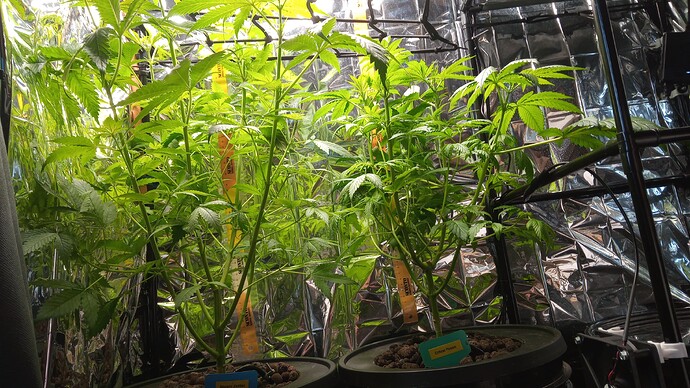 Growreport Bild 9