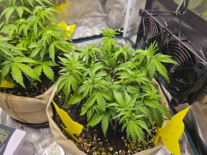 Growreport Bild 50