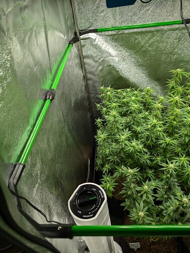 Growreport Bild 10