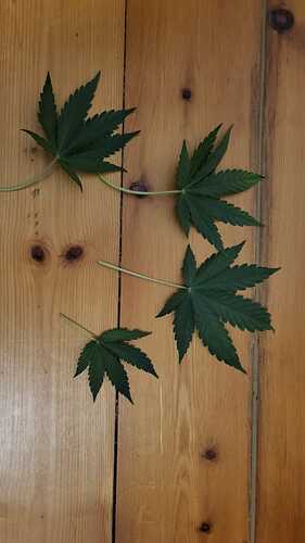 Growreport Bild 10