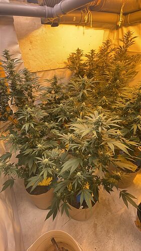 WhatsApp Bild 2025-11-07 um 14.05.40_88f8854a