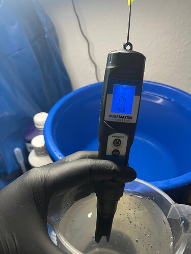 Growreport Bild 20