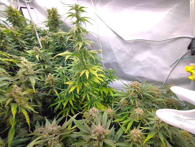 Growreport Bild 13