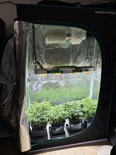 Growreport Bild 4