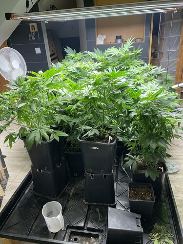 Growreport Bild 9