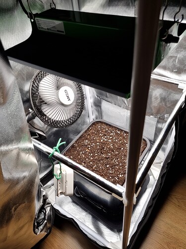 Growreport Bild 39