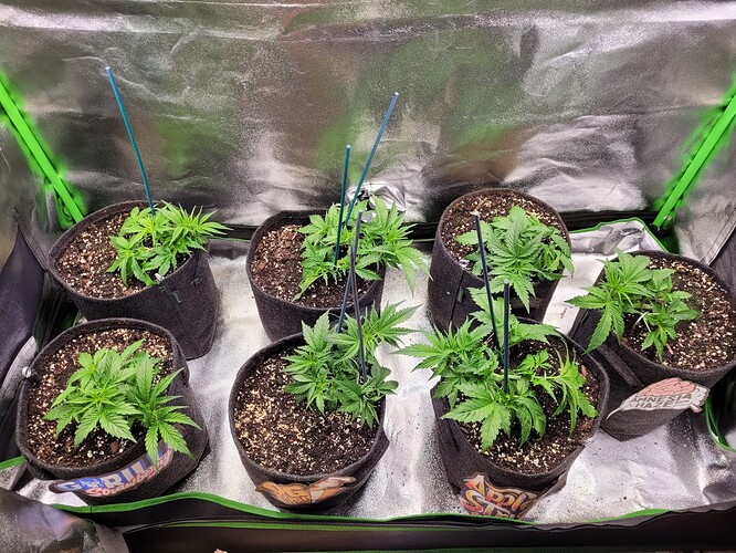 Growreport Bild 23