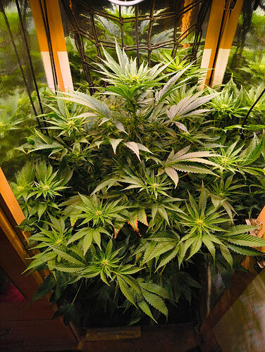 IMG_20260408_212406678