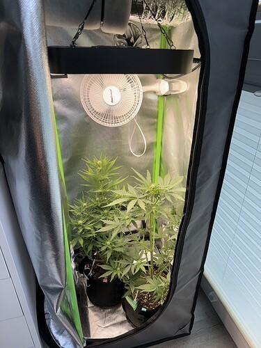 Growreport Bild 14