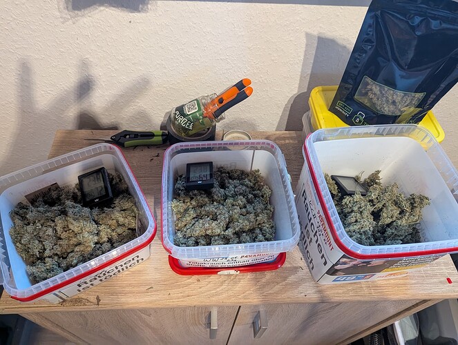 PXL_20250903_163944314