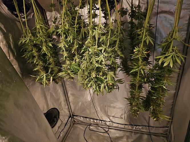 Growreport Bild 4