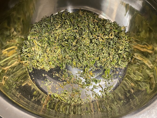 Growreport Bild 24