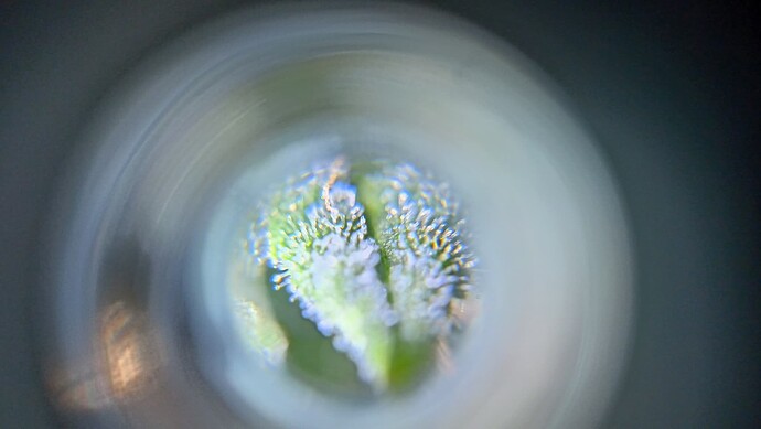 Growreport Bild 6