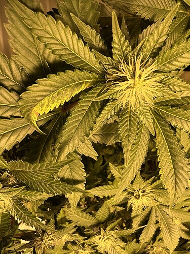 Growreport Bild 5