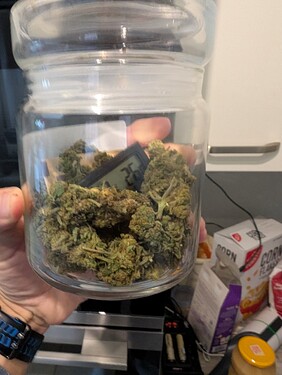 Growreport Bild 2