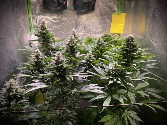 Growreport Bild 12