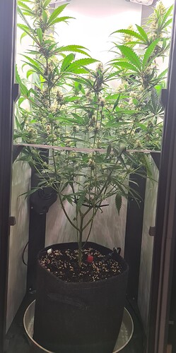 signal-2024-09-02-163302_002