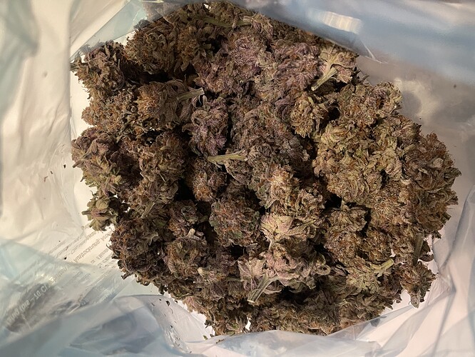 Growreport Bild 12
