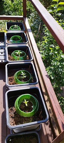 Growreport Bild 20