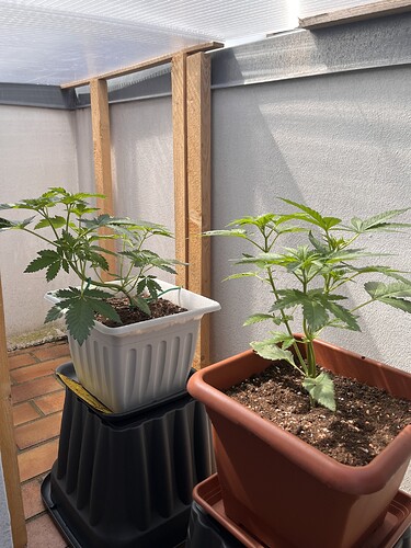 Growreport Bild 5