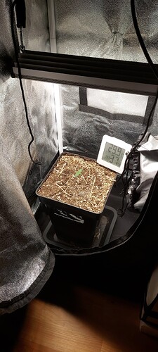 Growreport Bild 4