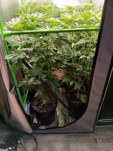 Growreport Bild 14