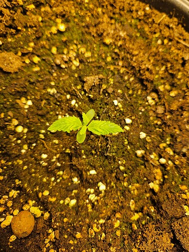 Growreport Bild 30
