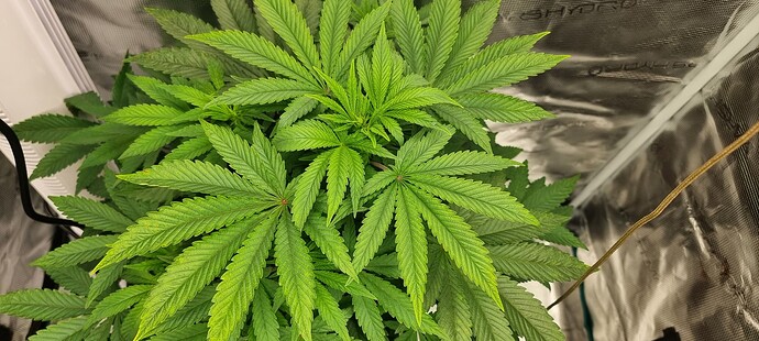 Growreport Bild 9