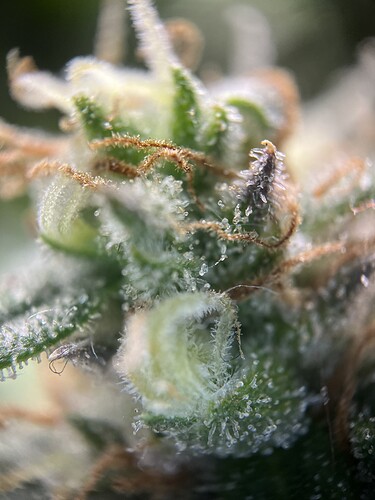 Growreport Bild 25