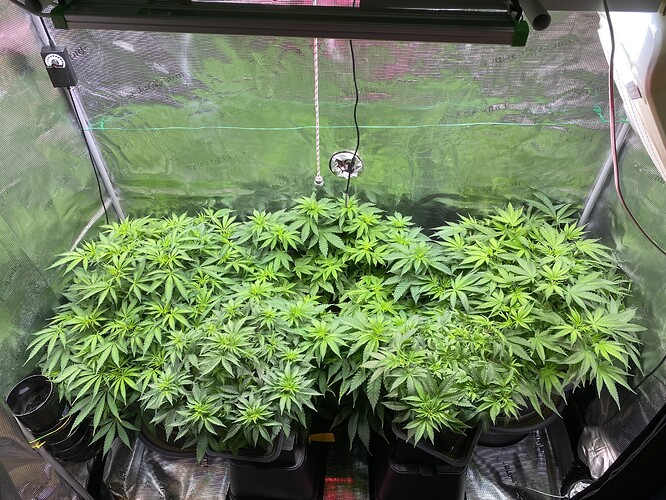 Growreport Bild 21