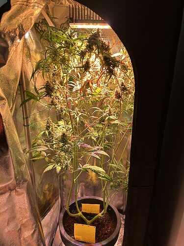 Growreport Bild 1