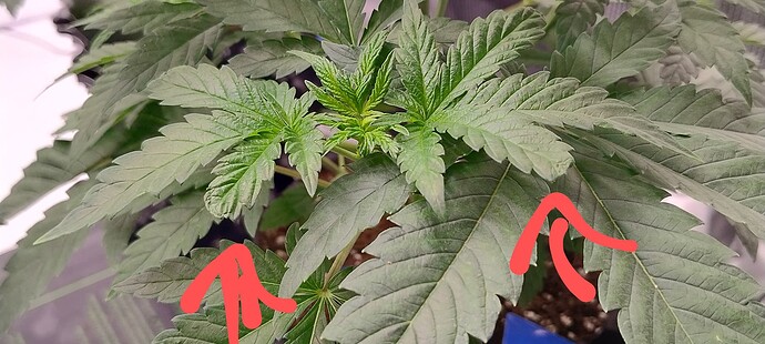 IMG_20250116_142353889_HDR (1)