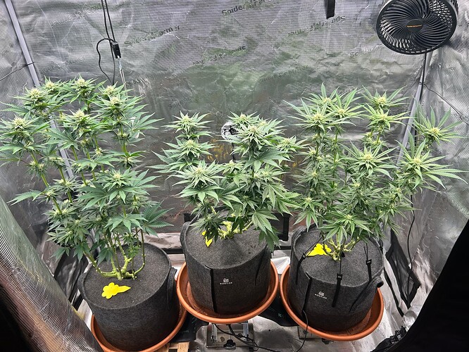 Growreport Bild 7
