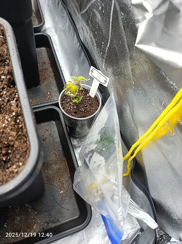 Growreport Bild 7