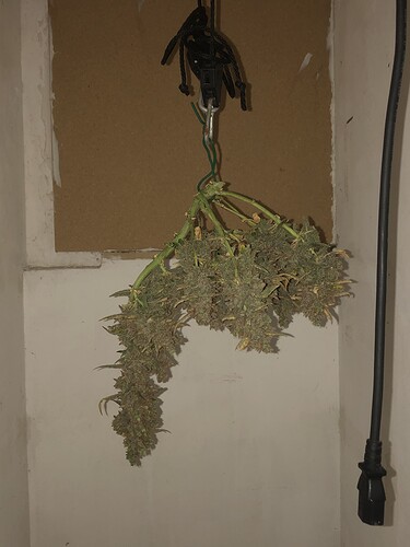 Growreport Bild 9