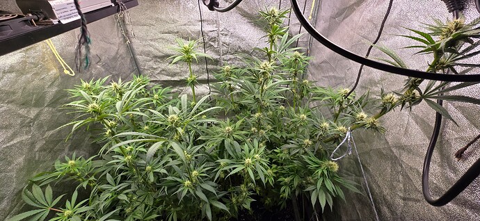Growreport Bild 6