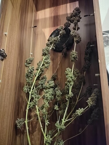 Growreport Bild 42