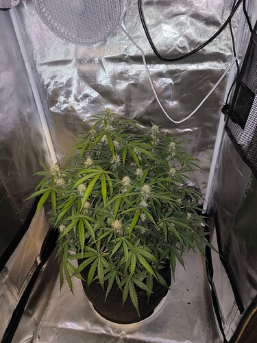 Growreport Bild 13