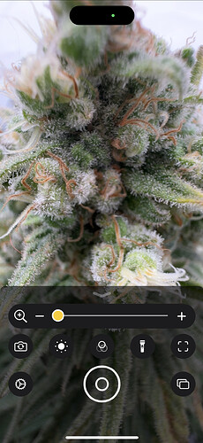 Growreport Bild 9