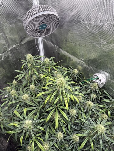 Growreport Bild 5