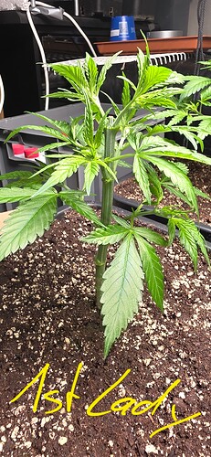 Growreport Bild 29