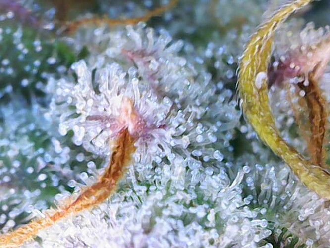 Photo_2024-07-13 13_05_08_971