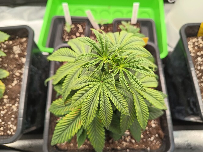 IMG_20240429_100556_544